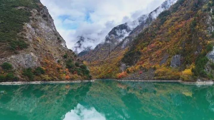 张嘉译目前在影视圈什么地位？游戏画面